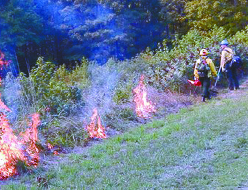National Park Service to conduct prescribed fires