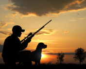 gun hunting rifle