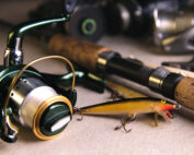 fishing fish gear rod reel