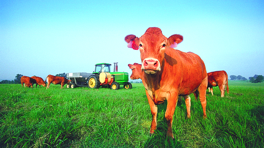 Veto By Governor Largely Puts Option For CAFO Regulations Back In Local ...