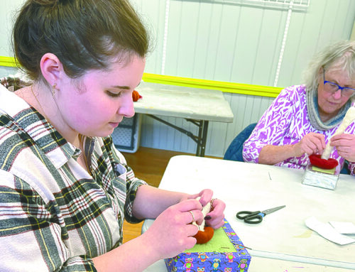 Felting class offers instruction on relaxing hobby
