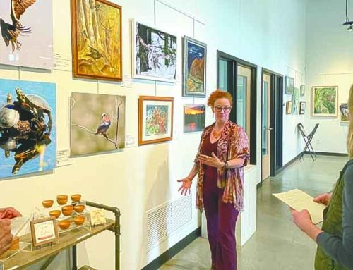 Visiting artist gives suggestions for gallery updates
