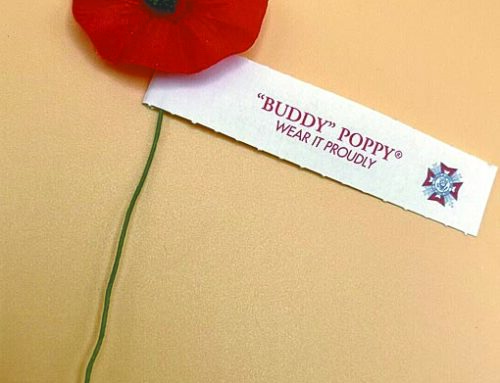What does the poppy mean to you?