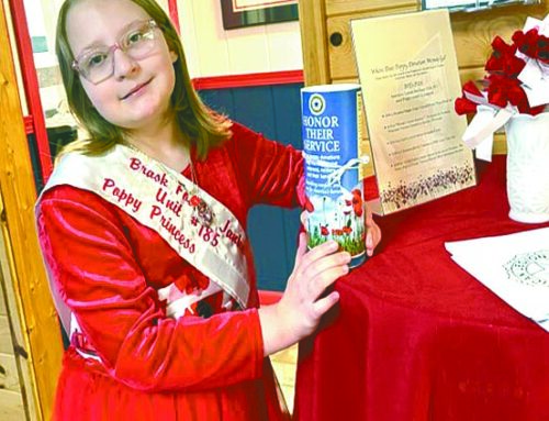 American Legion Auxiliary in Grantsburg has new poppy princess