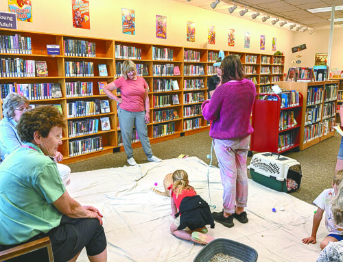 Summer reading adventure begins for Shell Lake Library
