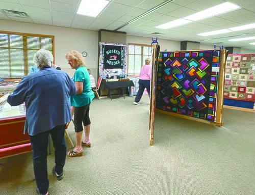 Recently made quilts provide beautiful visual display for Apple River Quilt Guild Show