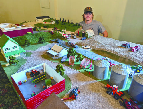 Amery Farm Toy Show a success