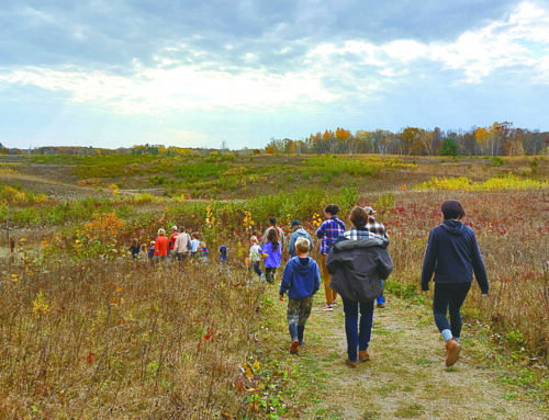 Hunt Hill hosts Little Explorers: Marvelous Mammals