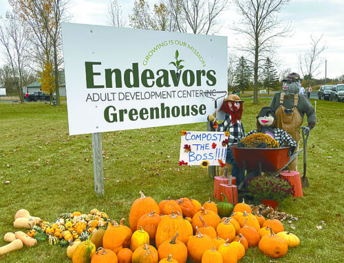 Milltown Pumpkinfest brings Halloween-themed fall fun to the weekend