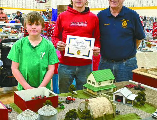 Turtle Lake FFA Alumni Toy Show and Craft Fair