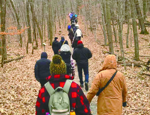 Interstate Park kicks off 125th anniversary with First Day Hike