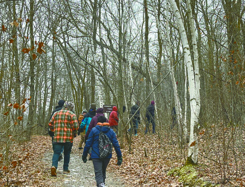 Nature enthusiasts brave winter for First Day Hike at Straight Lake State Park