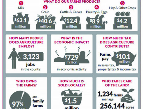 Tourism and agriculture