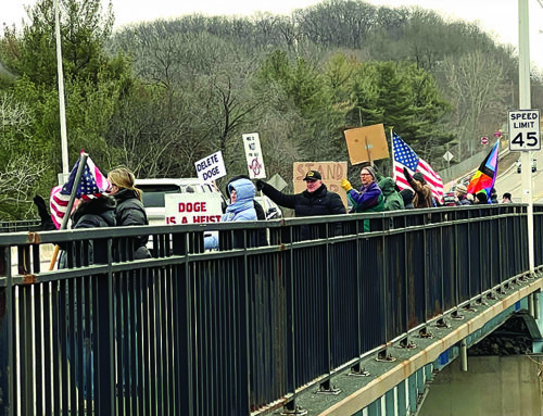 Protesters against Trump, Musk and Project 2025 gather on Hwy. 8 Bridge