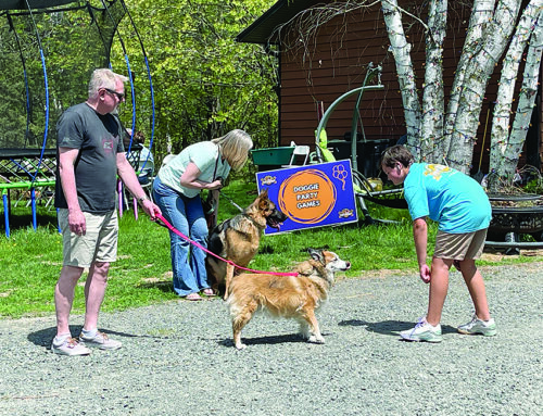 Top of the Valley Pet Resort hosts second-annual open house