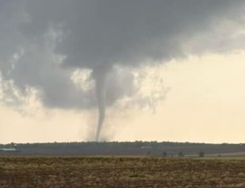 Tornado warnings issued for Polk County; multiple reports of tree damage