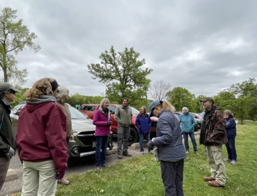 Annual Flora and Fauna Hike explores St. Croix River Valley