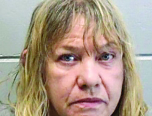 Minnesota woman sentenced on felony drug charge in Washburn County