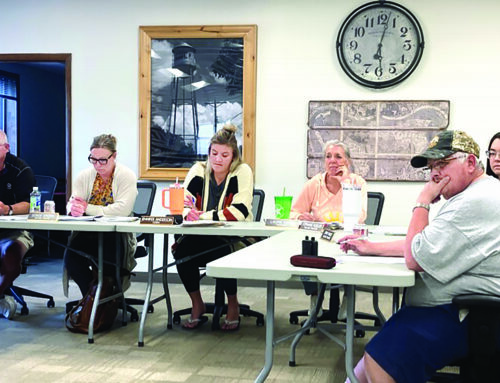 Village of Luck passes new short-term rental ordinances; gets bill for stolen golf cart