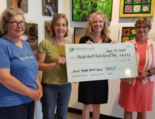 Grants distributed to local nonprofits