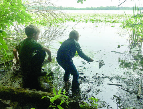 West Denmark Woodland School puts nature in the center of early childhood education