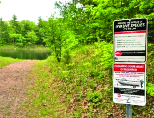 Boat landings in Polk and Burnett counties get a new look