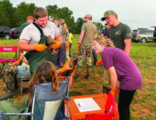Crex Meadows hosts duck banding event to assist DNR