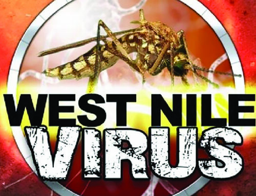 Polk County bird tests positive for West Nile virus