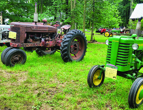 Old Time Farm Fest brings family fun to rainy weekend