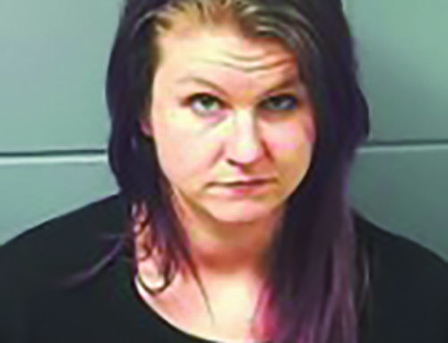 Woman sentenced in Burnett County drug case