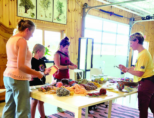 Art and ecology event in Osceola makes for a fun afternoon
