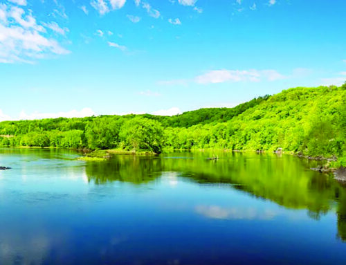 St. Croix Valley Foundation awards $225,000 in environmental grants to 19 nonprofits