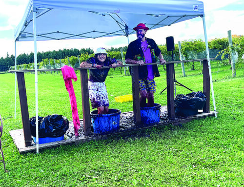 Dancing Dragonfly Winery hosts annual Grape Stomp Festival