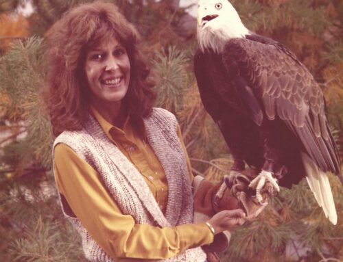 Barbara Ann Walker