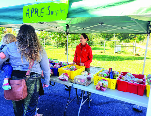 Z-Orchard celebrates fall with Apple Harvest Fest
