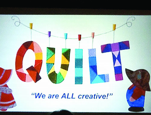 Members of the Apple River Quilt Guild learn about color confidence